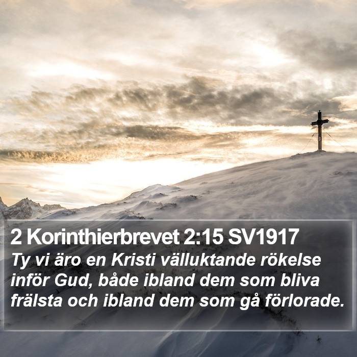 2 Korinthierbrevet 2:15 SV1917 Bible Study