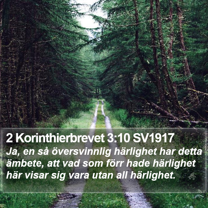 2 Korinthierbrevet 3:10 SV1917 Bible Study