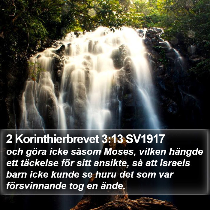 2 Korinthierbrevet 3:13 SV1917 Bible Study