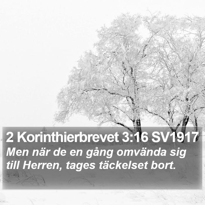 2 Korinthierbrevet 3:16 SV1917 Bible Study