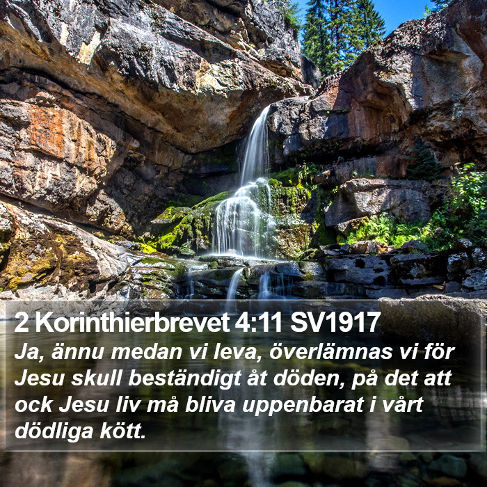 2 Korinthierbrevet 4:11 SV1917 Bible Study
