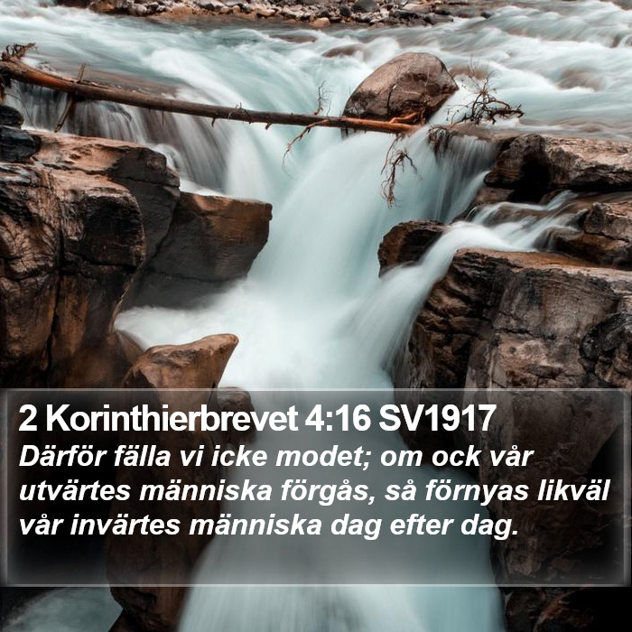 2 Korinthierbrevet 4:16 SV1917 Bible Study