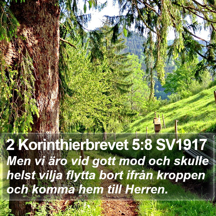 2 Korinthierbrevet 5:8 SV1917 Bible Study
