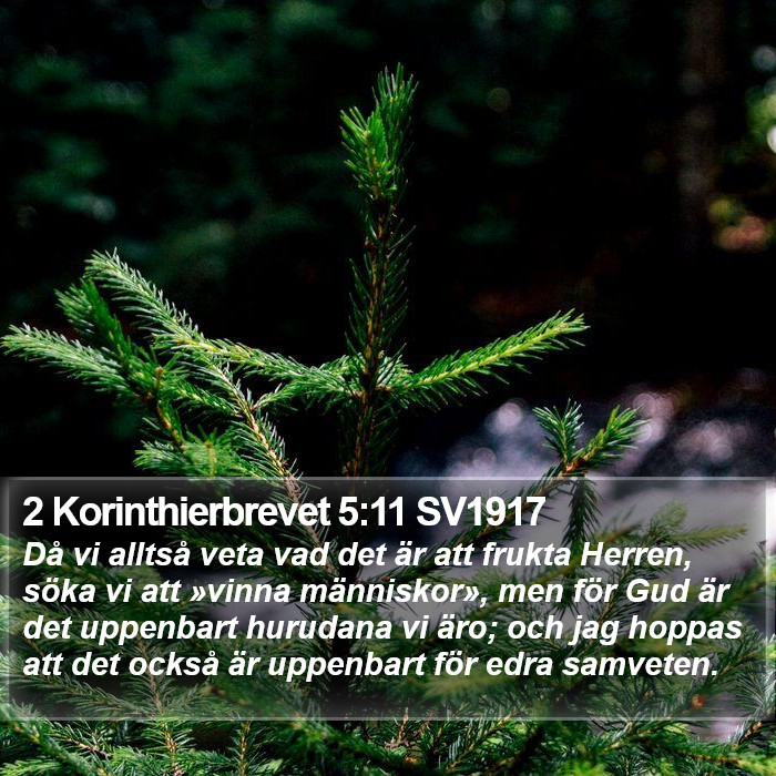 2 Korinthierbrevet 5:11 SV1917 Bible Study