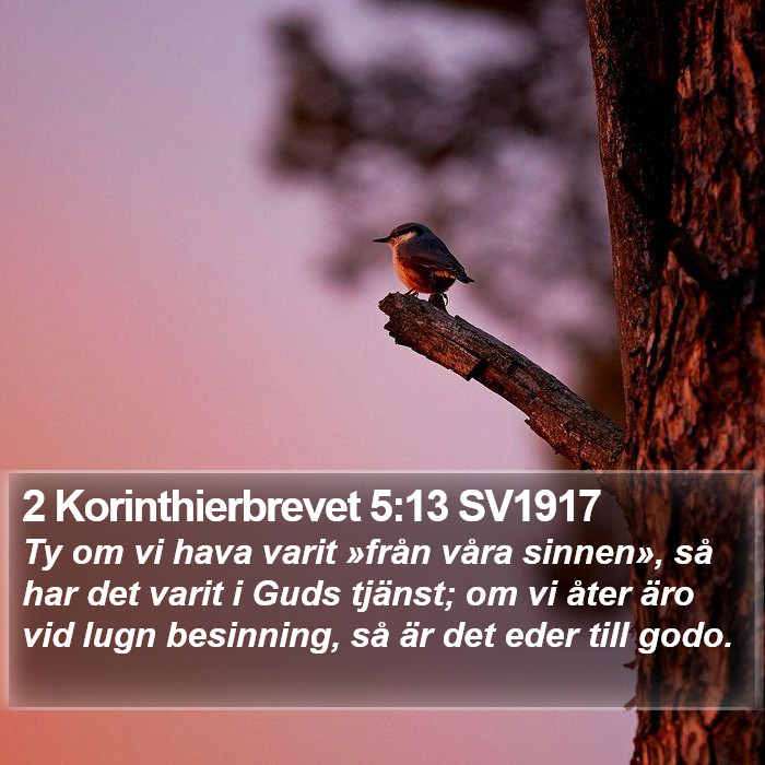 2 Korinthierbrevet 5:13 SV1917 Bible Study