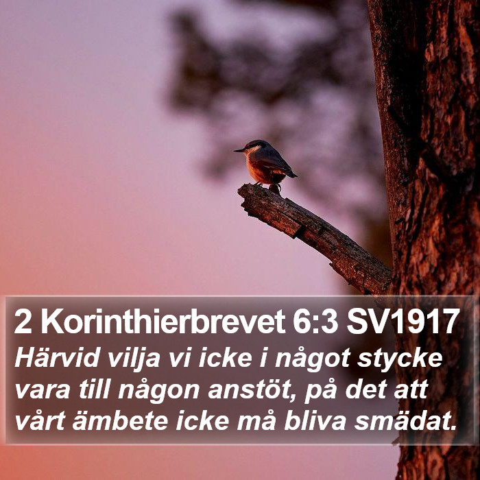 2 Korinthierbrevet 6:3 SV1917 Bible Study