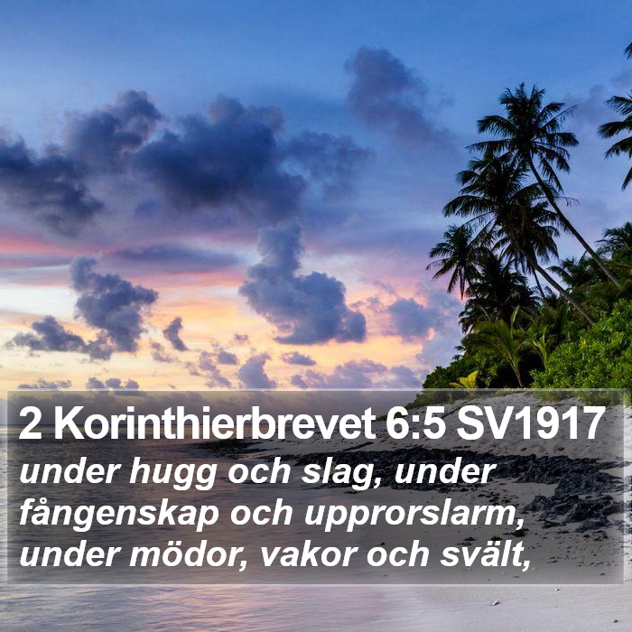 2 Korinthierbrevet 6:5 SV1917 Bible Study