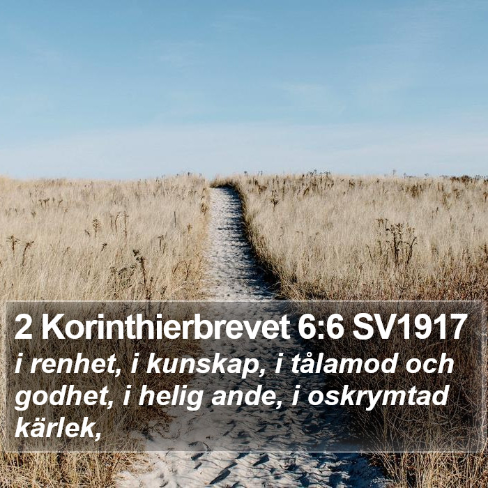 2 Korinthierbrevet 6:6 SV1917 Bible Study