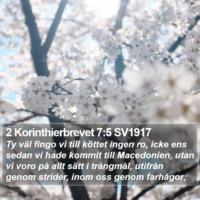 2 Korinthierbrevet 7:5 SV1917 Bible Study
