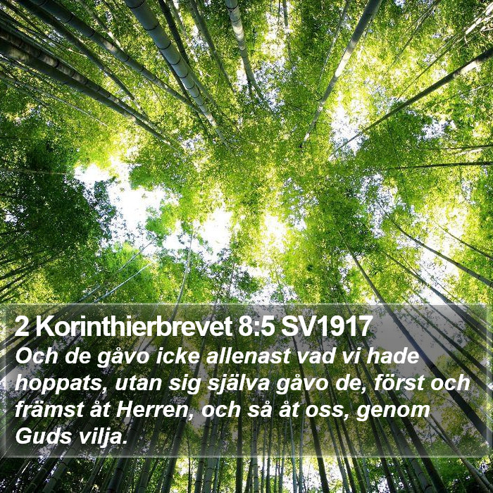 2 Korinthierbrevet 8:5 SV1917 Bible Study