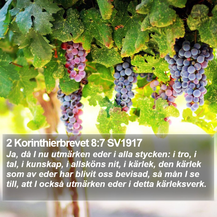 2 Korinthierbrevet 8:7 SV1917 Bible Study