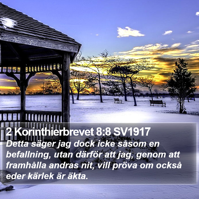 2 Korinthierbrevet 8:8 SV1917 Bible Study