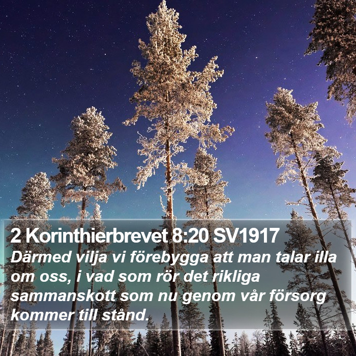 2 Korinthierbrevet 8:20 SV1917 Bible Study