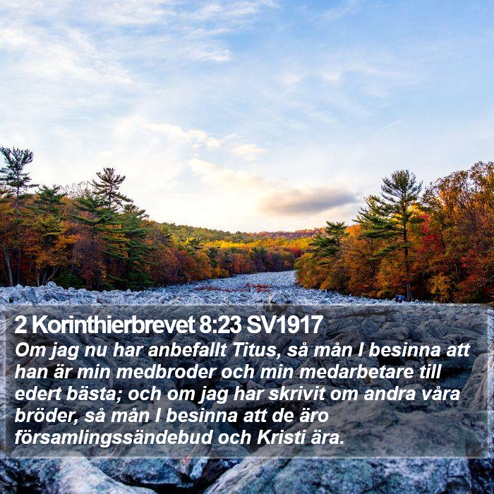 2 Korinthierbrevet 8:23 SV1917 Bible Study