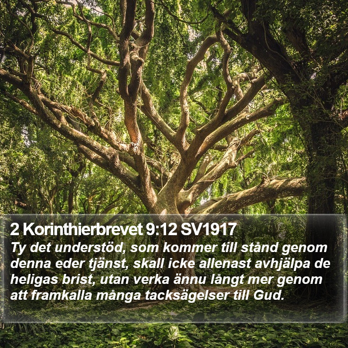 2 Korinthierbrevet 9:12 SV1917 Bible Study