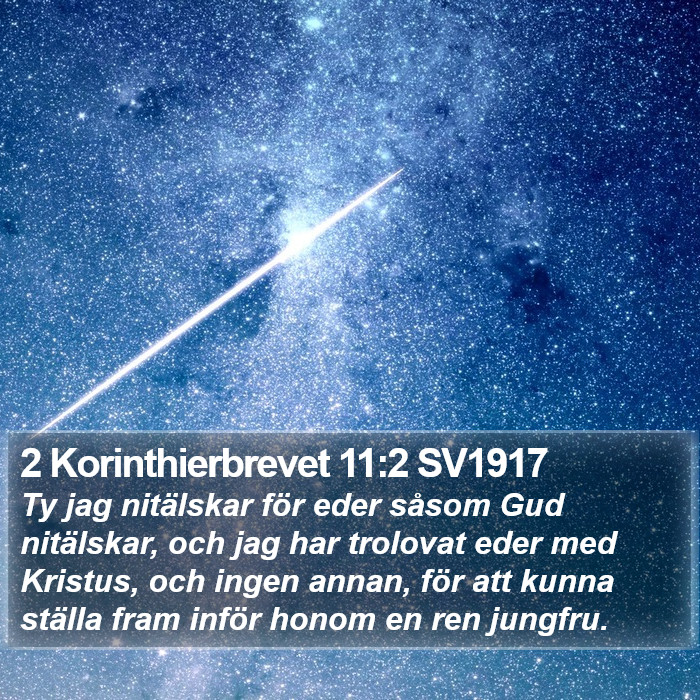 2 Korinthierbrevet 11:2 SV1917 Bible Study