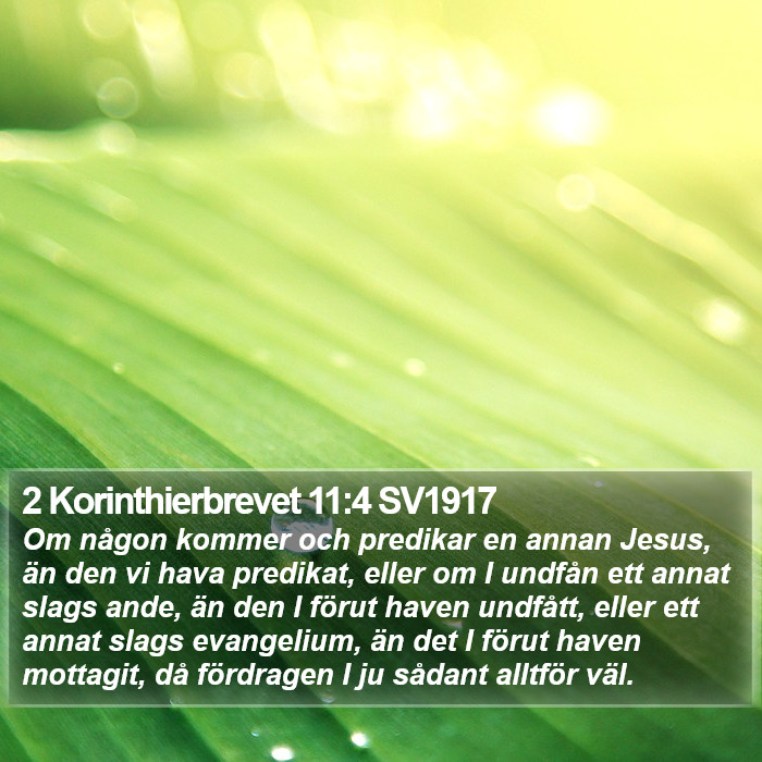 2 Korinthierbrevet 11:4 SV1917 Bible Study