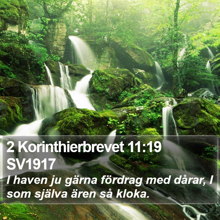 2 Korinthierbrevet 11:19 SV1917 Bible Study