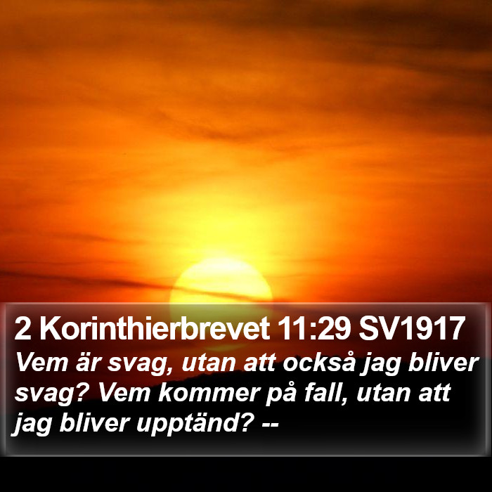 2 Korinthierbrevet 11:29 SV1917 Bible Study