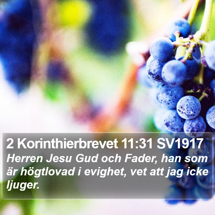 2 Korinthierbrevet 11:31 SV1917 Bible Study