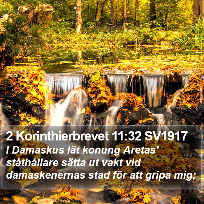 2 Korinthierbrevet 11:32 SV1917 Bible Study