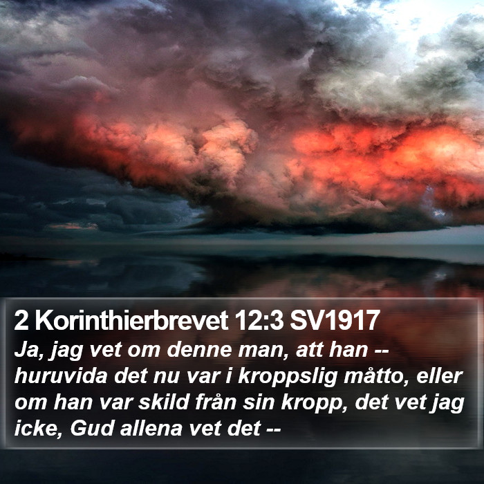 2 Korinthierbrevet 12:3 SV1917 Bible Study