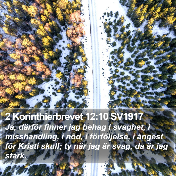 2 Korinthierbrevet 12:10 SV1917 Bible Study
