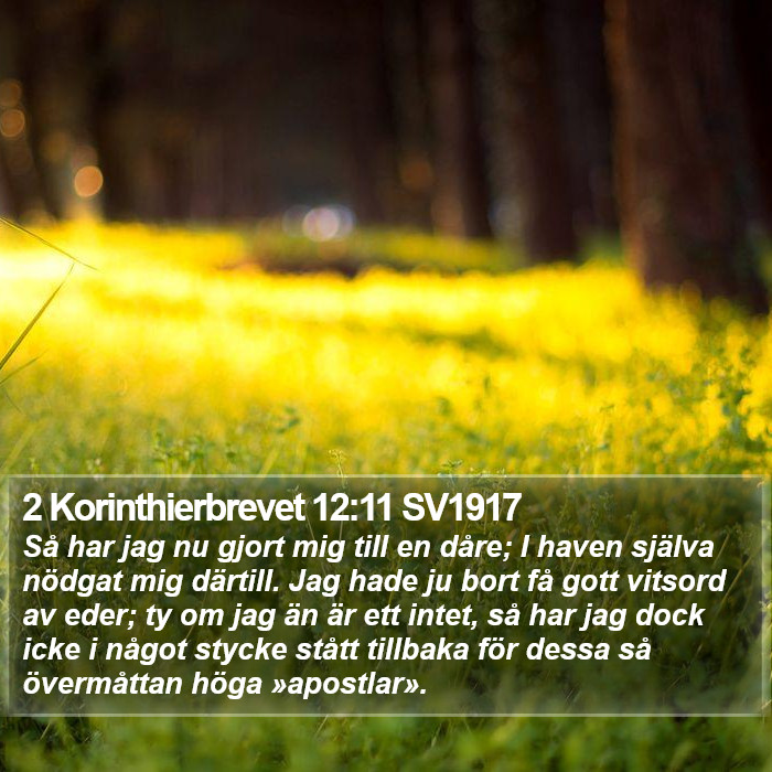 2 Korinthierbrevet 12:11 SV1917 Bible Study