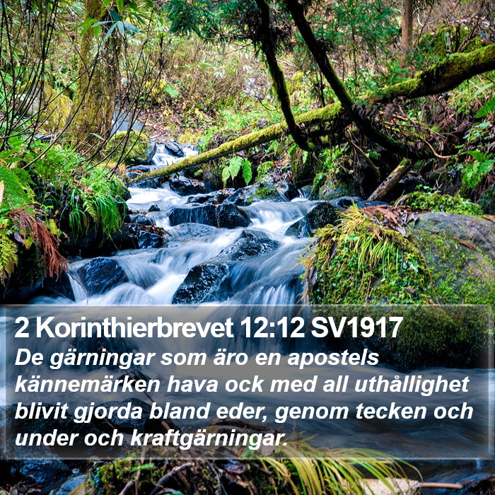 2 Korinthierbrevet 12:12 SV1917 Bible Study