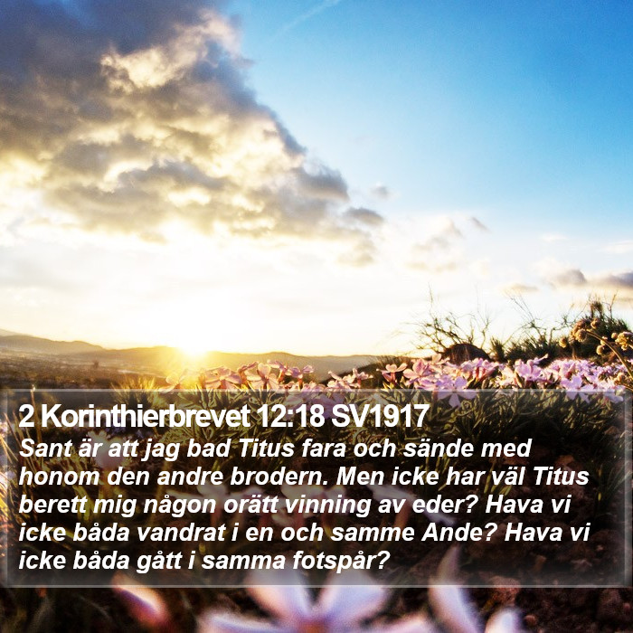 2 Korinthierbrevet 12:18 SV1917 Bible Study