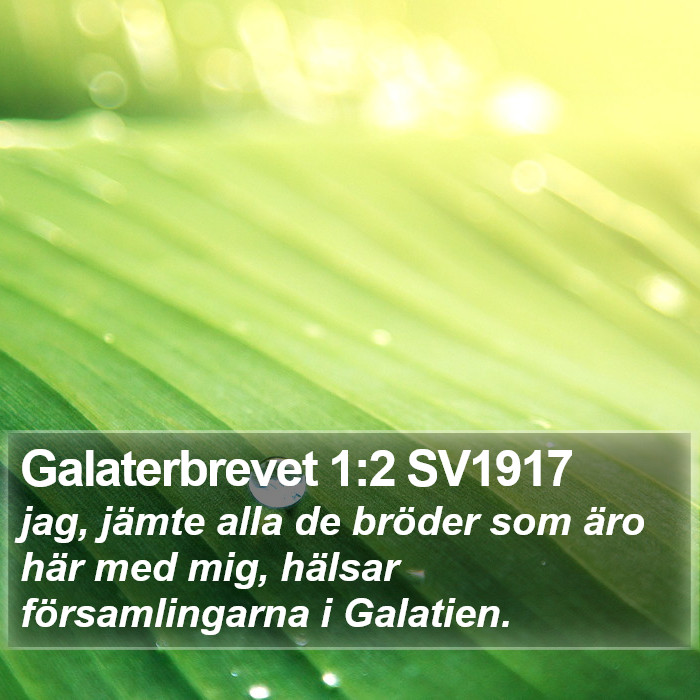 Galaterbrevet 1:2 SV1917 Bible Study