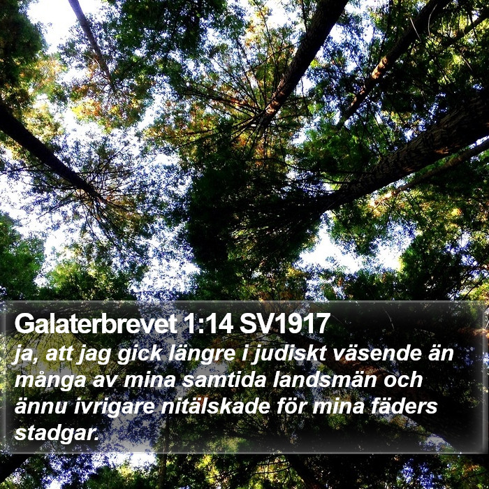 Galaterbrevet 1:14 SV1917 Bible Study