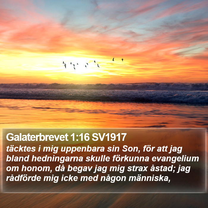 Galaterbrevet 1:16 SV1917 Bible Study