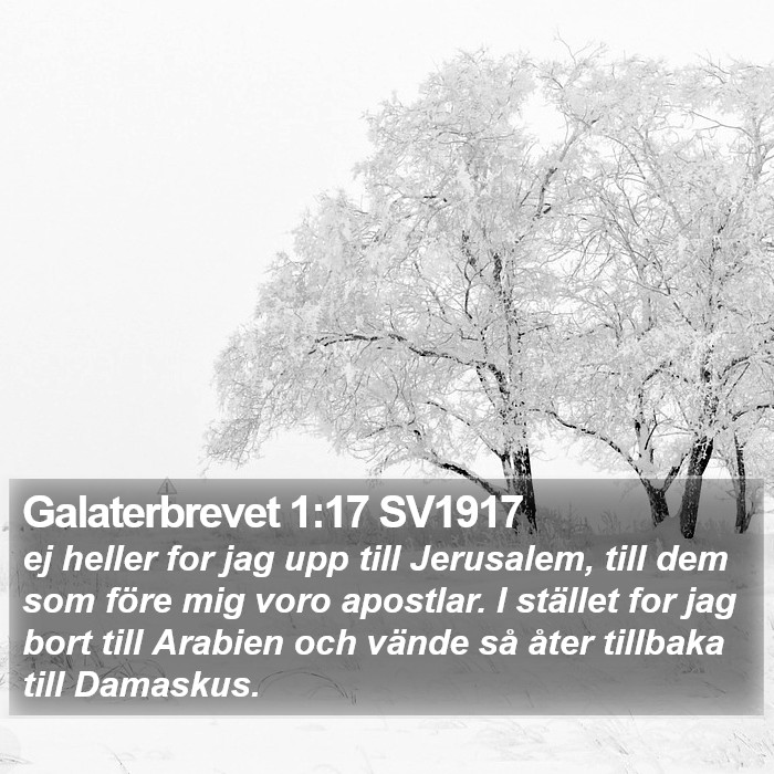 Galaterbrevet 1:17 SV1917 Bible Study