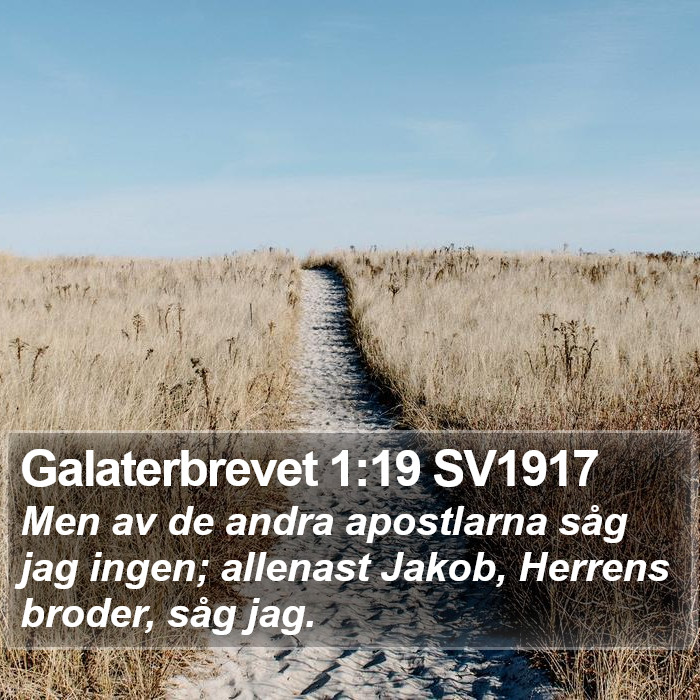 Galaterbrevet 1:19 SV1917 Bible Study