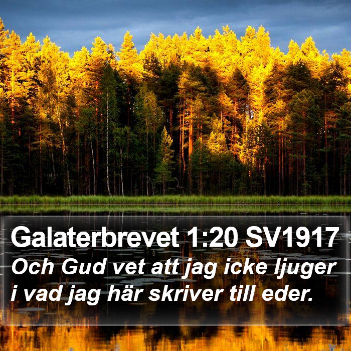 Galaterbrevet 1:20 SV1917 Bible Study