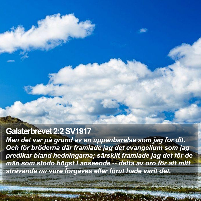 Galaterbrevet 2:2 SV1917 Bible Study