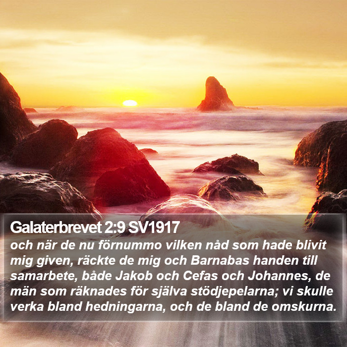 Galaterbrevet 2:9 SV1917 Bible Study