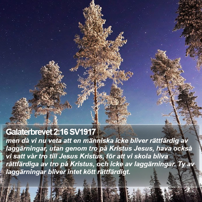 Galaterbrevet 2:16 SV1917 Bible Study