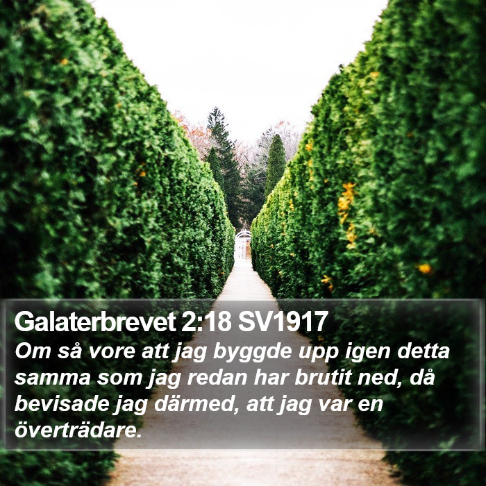 Galaterbrevet 2:18 SV1917 Bible Study