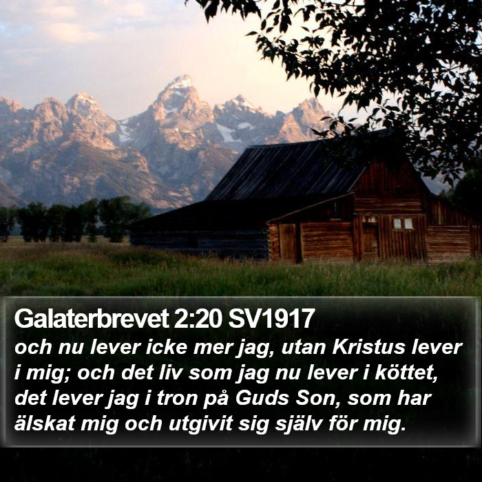 Galaterbrevet 2:20 SV1917 Bible Study