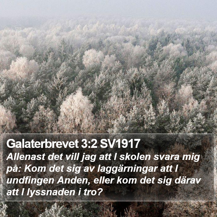 Galaterbrevet 3:2 SV1917 Bible Study