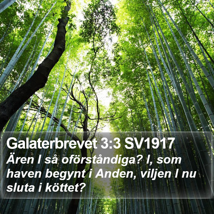 Galaterbrevet 3:3 SV1917 Bible Study