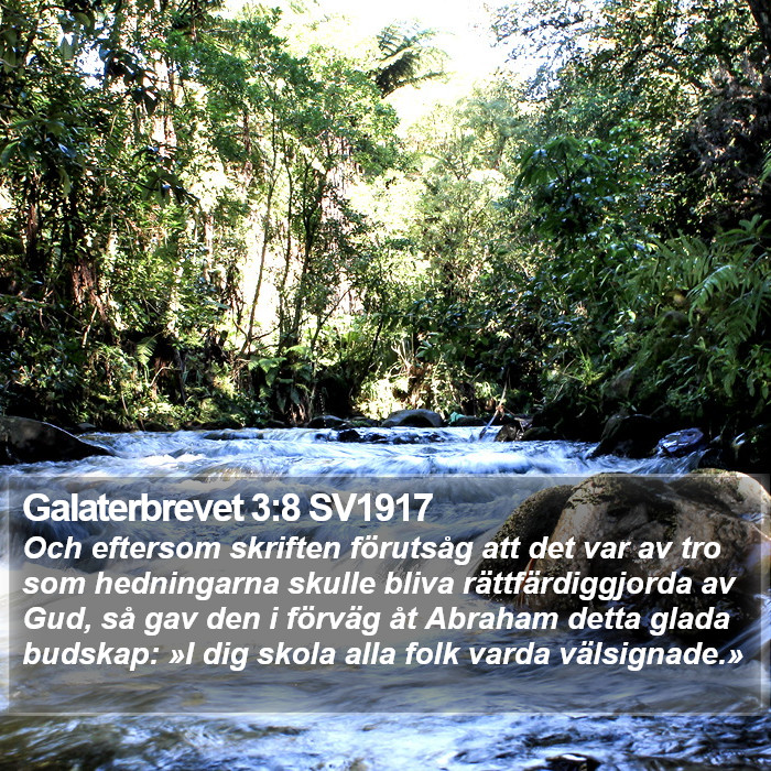 Galaterbrevet 3:8 SV1917 Bible Study