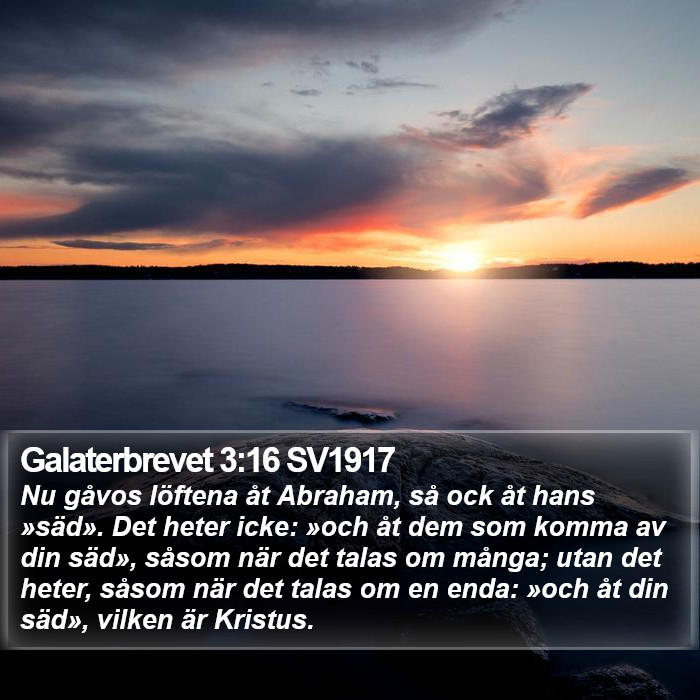 Galaterbrevet 3:16 SV1917 Bible Study