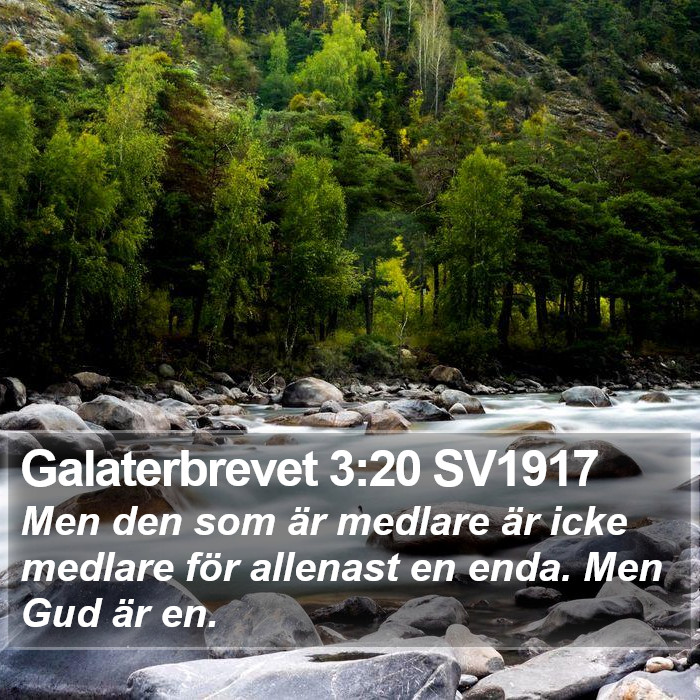 Galaterbrevet 3:20 SV1917 Bible Study