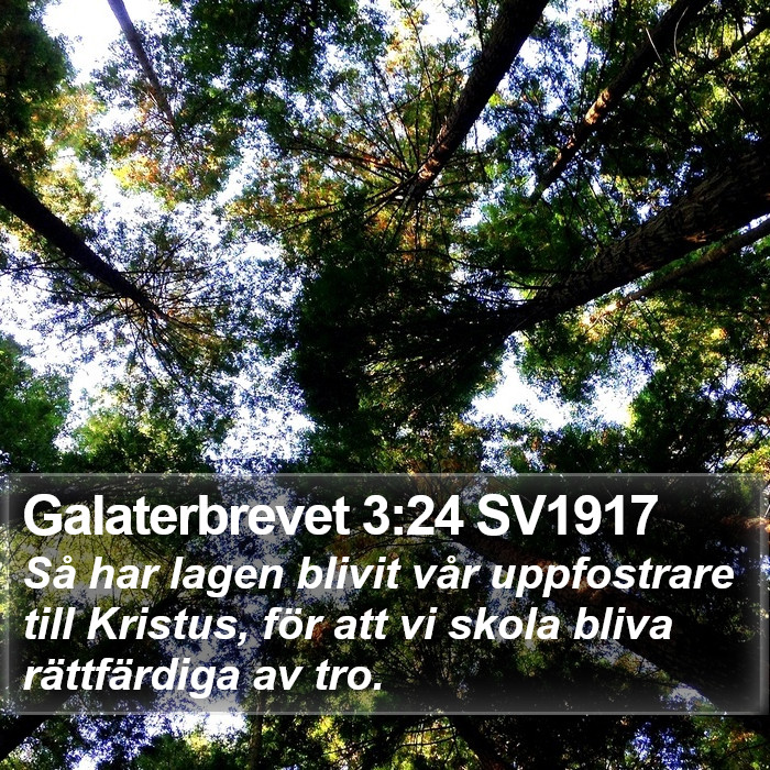 Galaterbrevet 3:24 SV1917 Bible Study