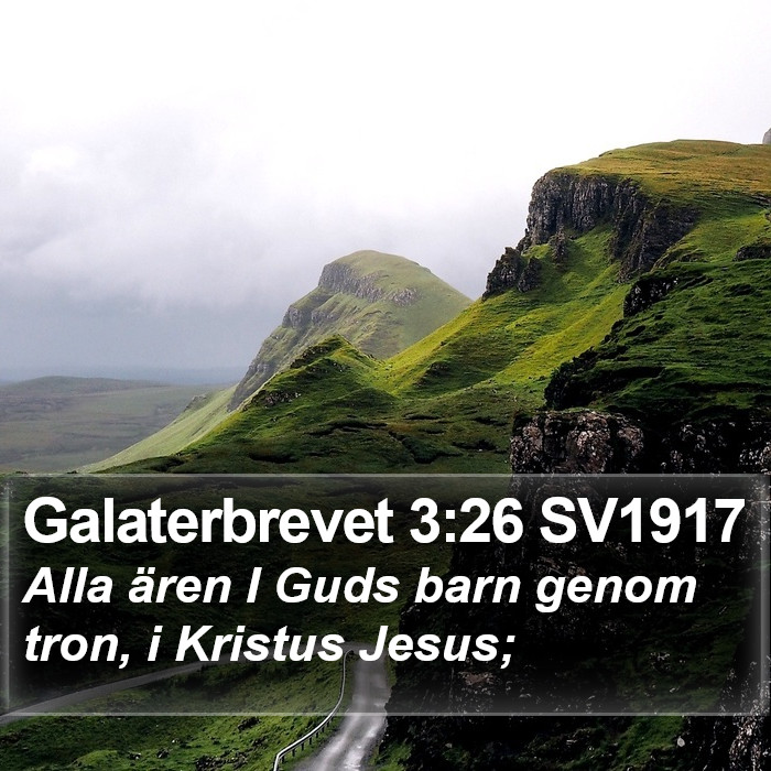 Galaterbrevet 3:26 SV1917 Bible Study