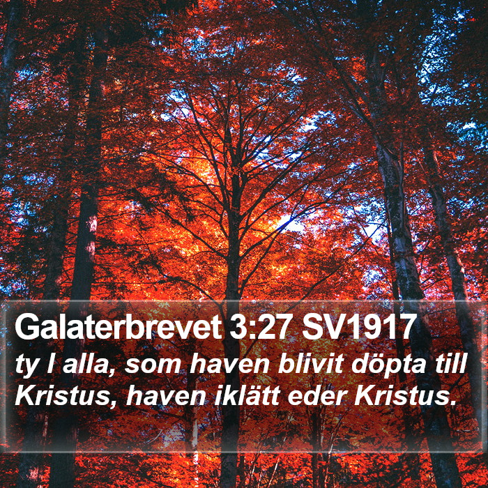 Galaterbrevet 3:27 SV1917 Bible Study