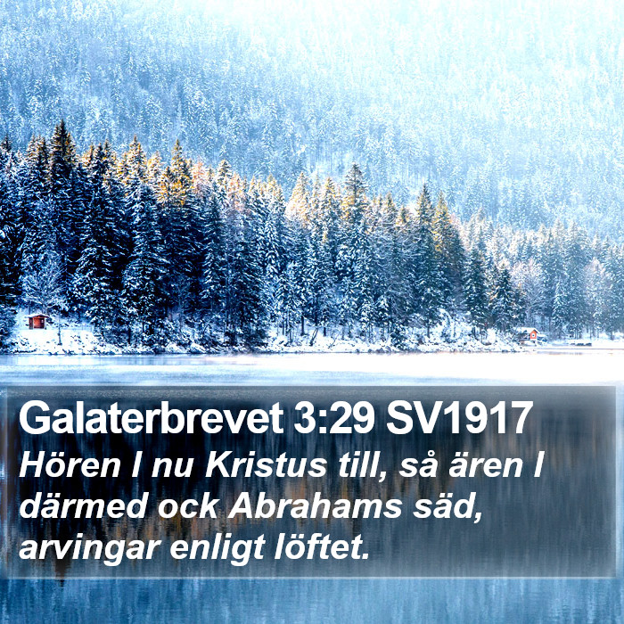 Galaterbrevet 3:29 SV1917 Bible Study